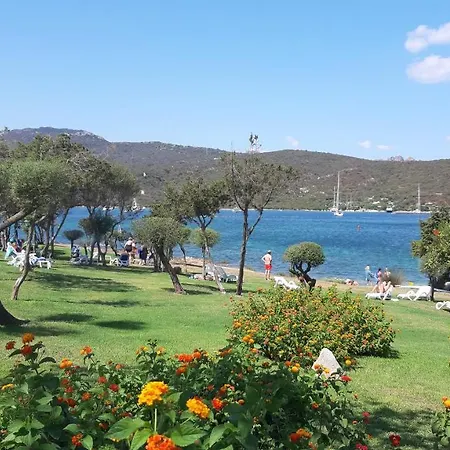 Punta Asfodeli